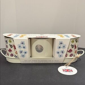 Charlotte Posner Planters – Set of 3 with Matching Tray- NEW